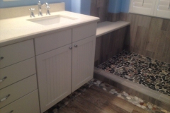 Del Mar Remodeling Bathroom CA