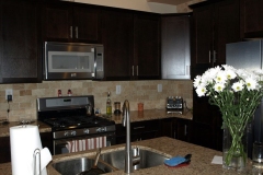 Del Mar CA Kitchen Remodeling