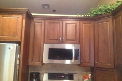 Del Mar Kitchen Remodeling CA