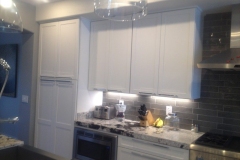 Remodeling CA Del Mar Kitchen